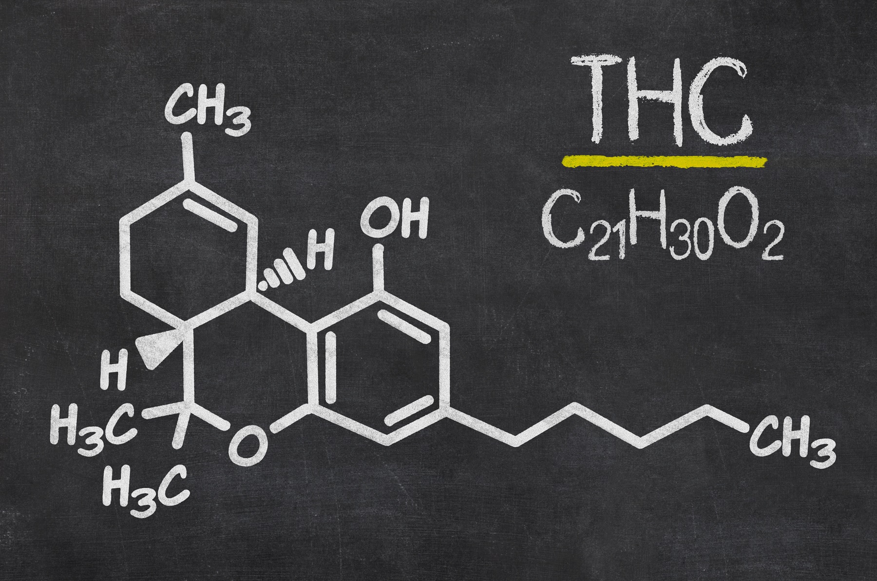 How Does THC Work and What does it do to Your Body