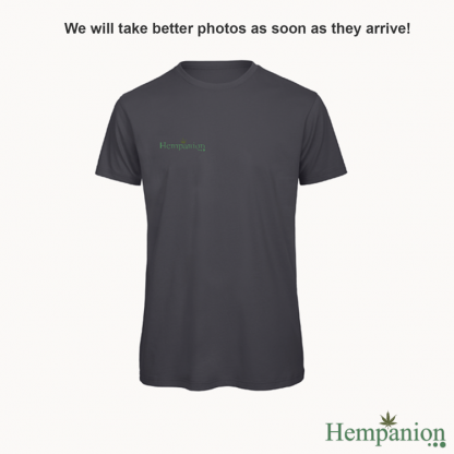 Hempanion Organic Mens T-shirt - Grey