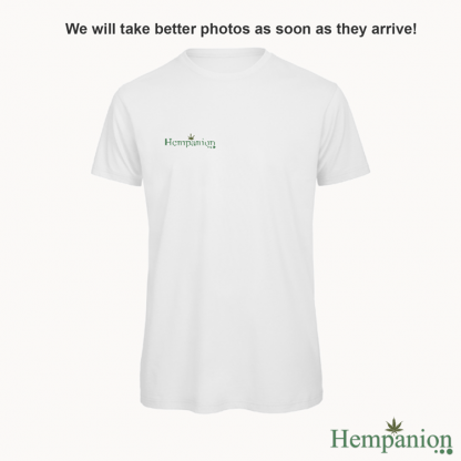 Hempanion Organic Mens T-shirt