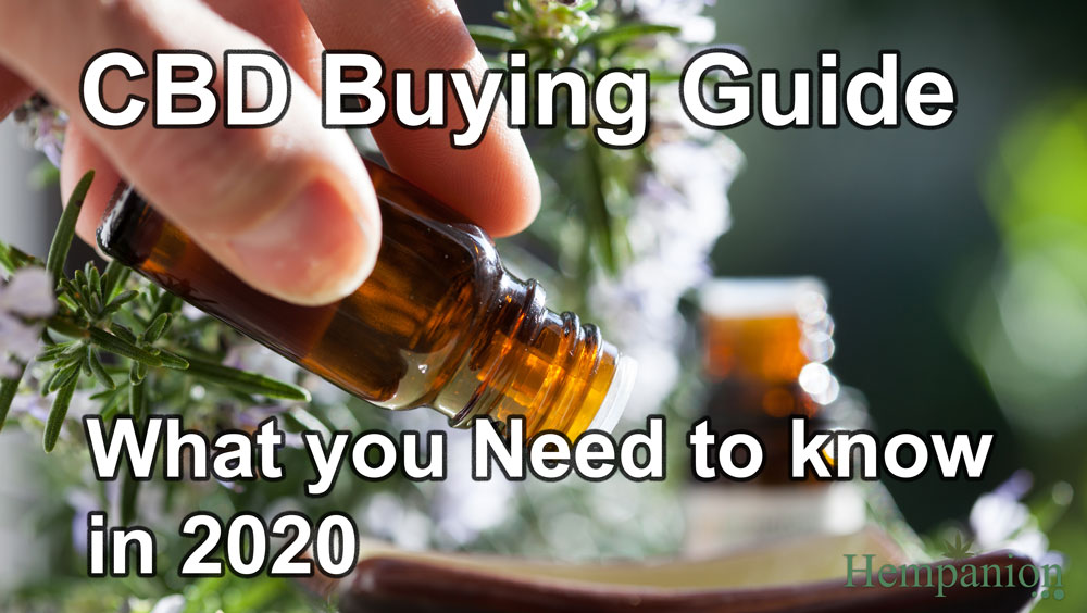 things to know before buying CBD guide