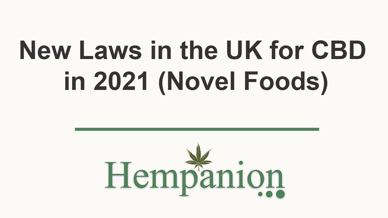 CBD Novel Food UK 2021